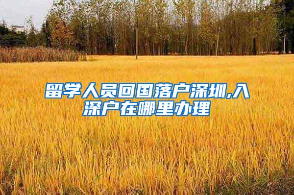 留学人员回国落户深圳,入深户在哪里办理