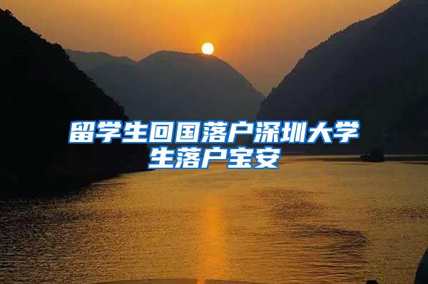 留学生回国落户深圳大学生落户宝安