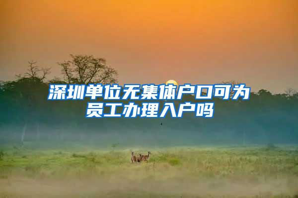 深圳单位无集体户口可为员工办理入户吗