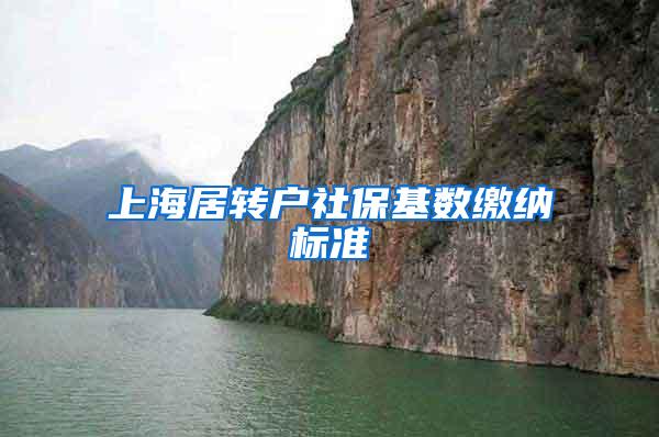 上海居转户社保基数缴纳标准