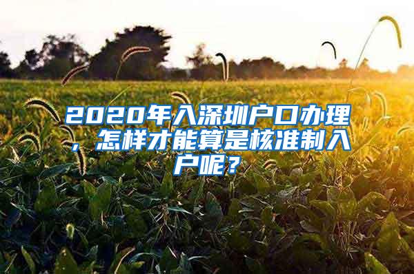 2020年入深圳户口办理，怎样才能算是核准制入户呢？