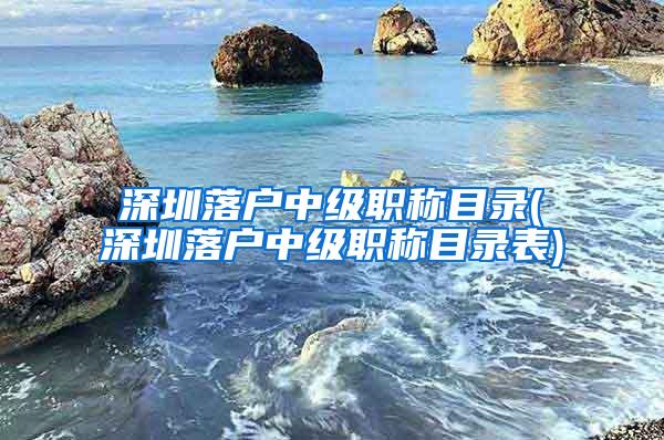 深圳落户中级职称目录(深圳落户中级职称目录表)