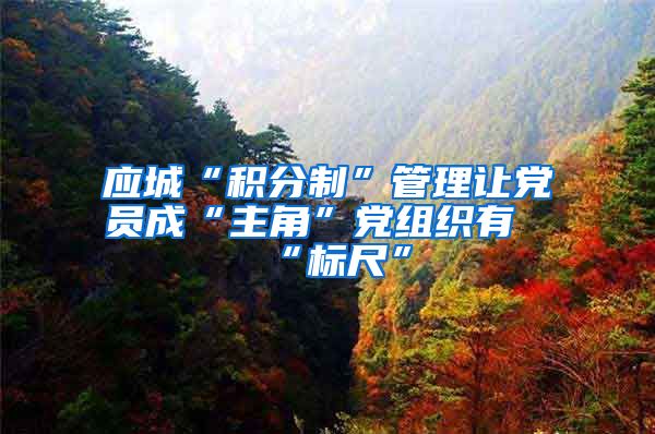 应城“积分制”管理让党员成“主角”党组织有“标尺”