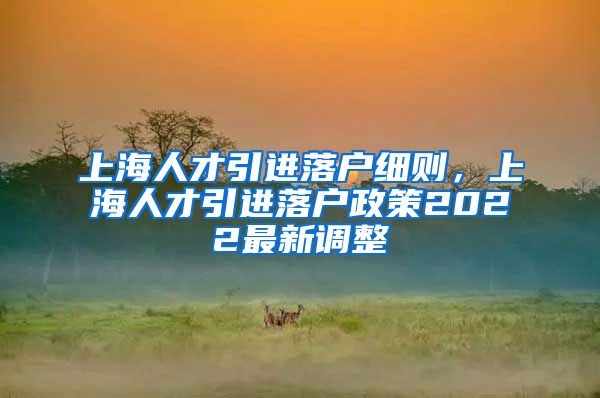 上海人才引进落户细则，上海人才引进落户政策2022最新调整