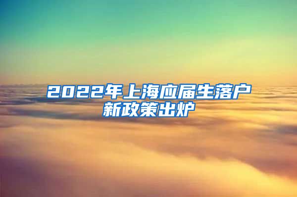 2022年上海应届生落户新政策出炉
