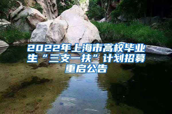 2022年上海市高校毕业生“三支一扶”计划招募重启公告
