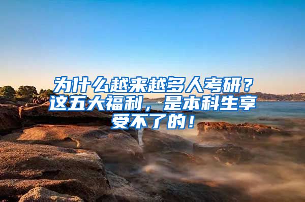 为什么越来越多人考研？这五大福利，是本科生享受不了的！