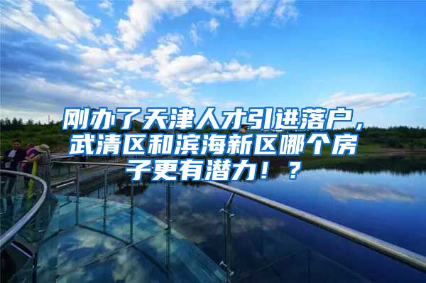 刚办了天津人才引进落户，武清区和滨海新区哪个房子更有潜力！？