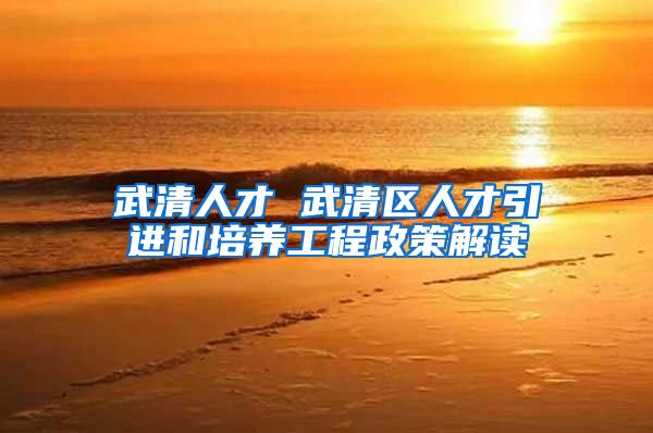 武清人才 武清区人才引进和培养工程政策解读