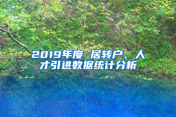 2019年度 居转户、人才引进数据统计分析