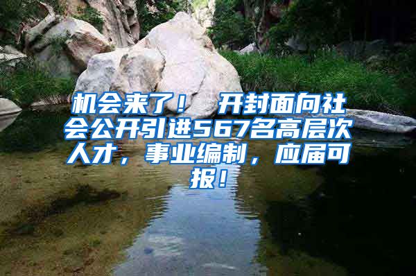 机会来了！ 开封面向社会公开引进567名高层次人才，事业编制，应届可报！