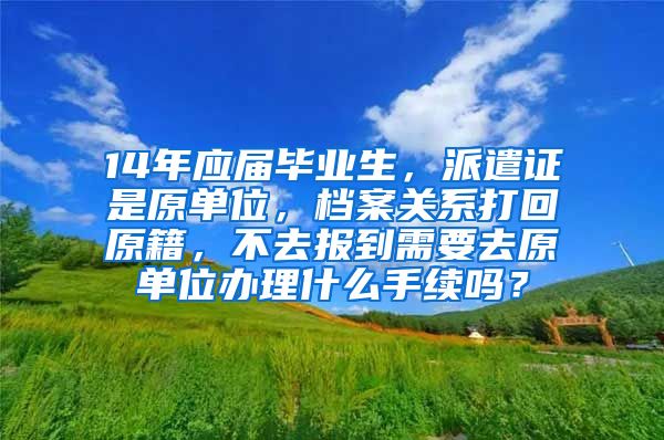 14年应届毕业生，派遣证是原单位，档案关系打回原籍，不去报到需要去原单位办理什么手续吗？
