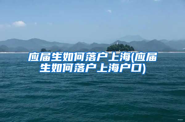 应届生如何落户上海(应届生如何落户上海户口)