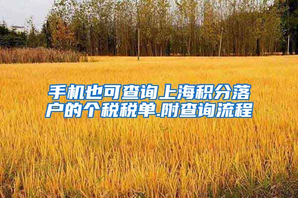 手机也可查询上海积分落户的个税税单.附查询流程