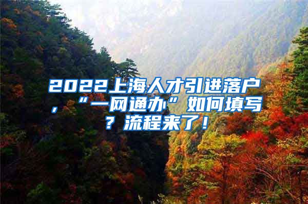 2022上海人才引进落户，“一网通办”如何填写？流程来了！