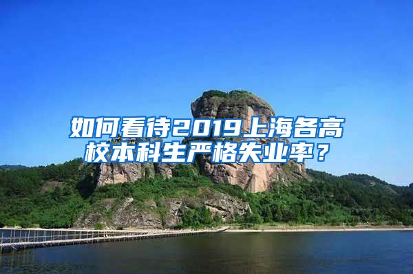 如何看待2019上海各高校本科生严格失业率？