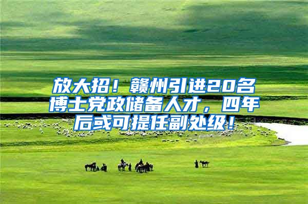 放大招！赣州引进20名博士党政储备人才，四年后或可提任副处级！