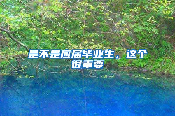 是不是应届毕业生，这个很重要