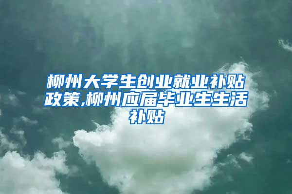柳州大学生创业就业补贴政策,柳州应届毕业生生活补贴