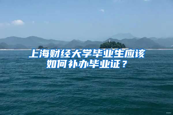 上海财经大学毕业生应该如何补办毕业证？
