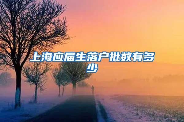 上海应届生落户批数有多少