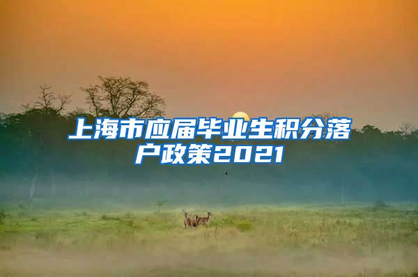 上海市应届毕业生积分落户政策2021