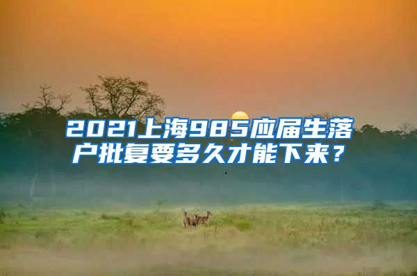 2021上海985应届生落户批复要多久才能下来？