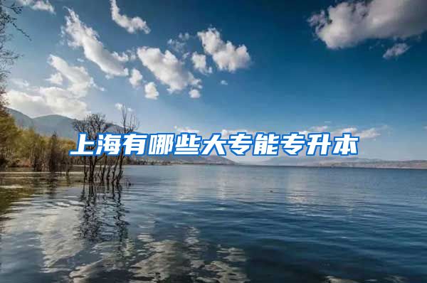 上海有哪些大专能专升本