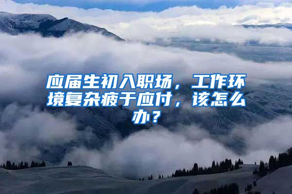 应届生初入职场，工作环境复杂疲于应付，该怎么办？