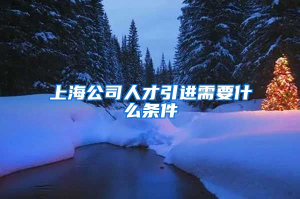 上海公司人才引进需要什么条件