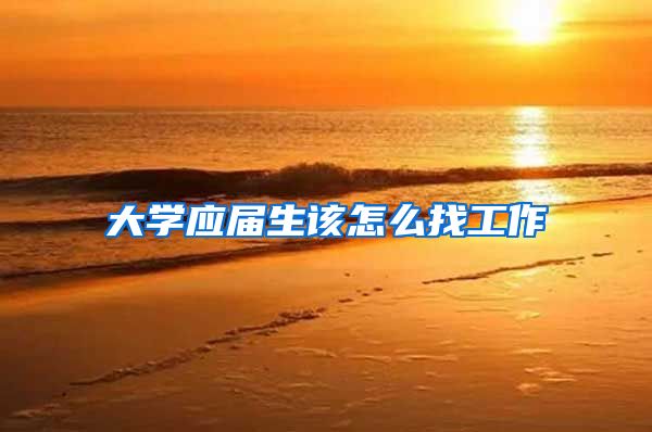 大学应届生该怎么找工作