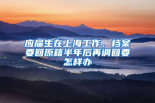 应届生在上海工作，档案要回原籍半年后再调回要怎样办