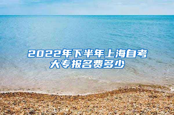 2022年下半年上海自考大专报名费多少