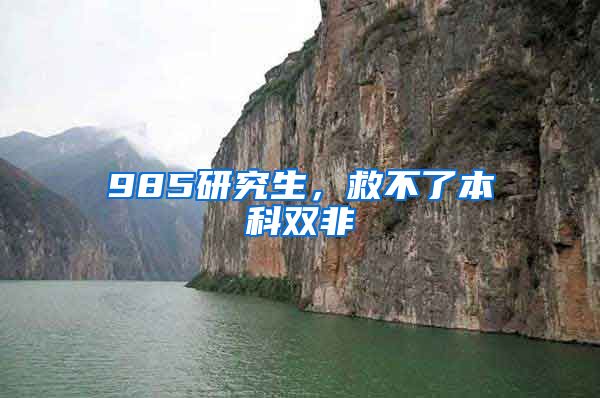 985研究生，救不了本科双非
