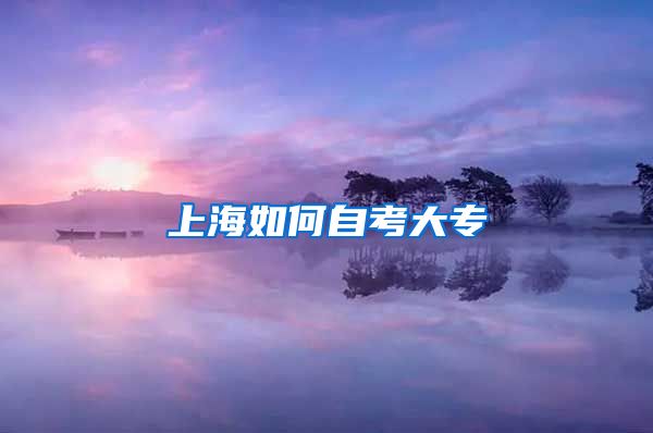 上海如何自考大专
