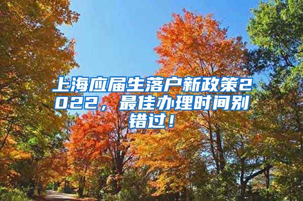 上海应届生落户新政策2022，最佳办理时间别错过！