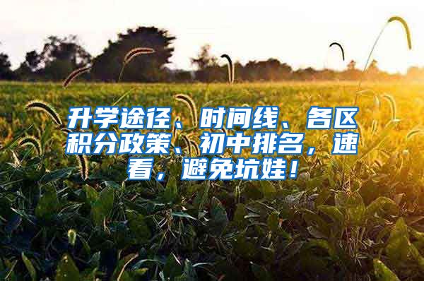 升学途径、时间线、各区积分政策、初中排名，速看，避免坑娃！