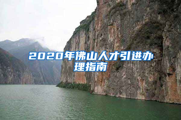 2020年佛山人才引进办理指南