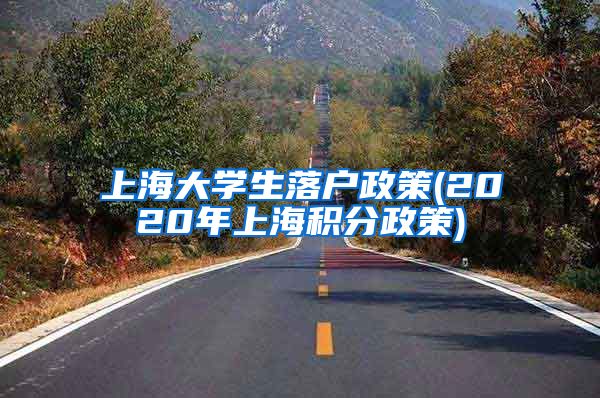 上海大学生落户政策(2020年上海积分政策)
