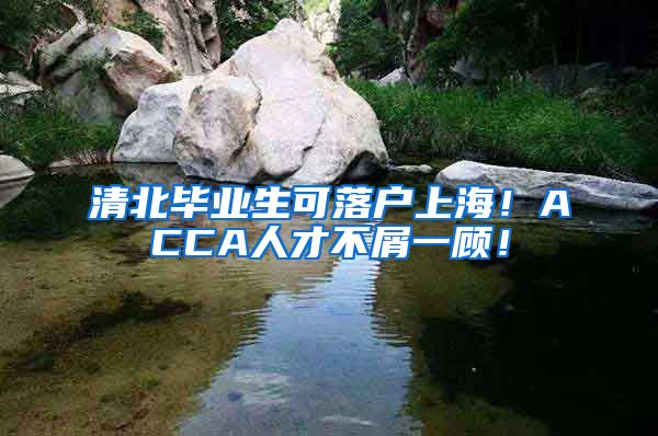 清北毕业生可落户上海！ACCA人才不屑一顾！