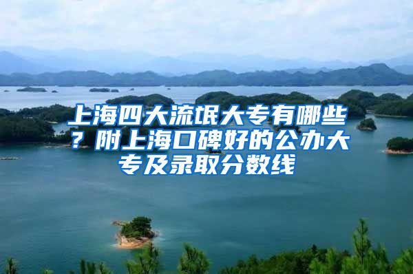 上海四大流氓大专有哪些？附上海口碑好的公办大专及录取分数线