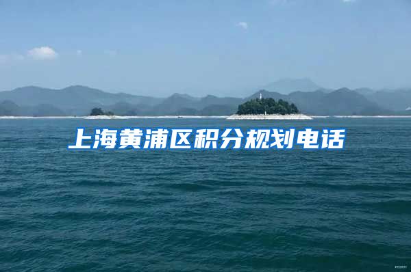 上海黄浦区积分规划电话