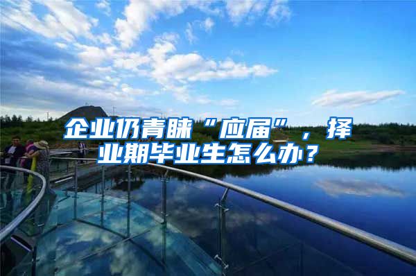 企业仍青睐“应届”，择业期毕业生怎么办？