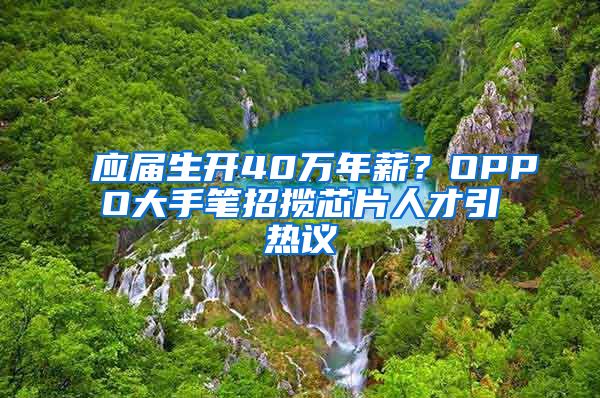 应届生开40万年薪？OPPO大手笔招揽芯片人才引热议