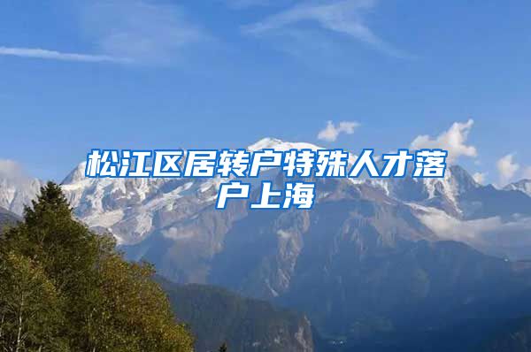 松江区居转户特殊人才落户上海