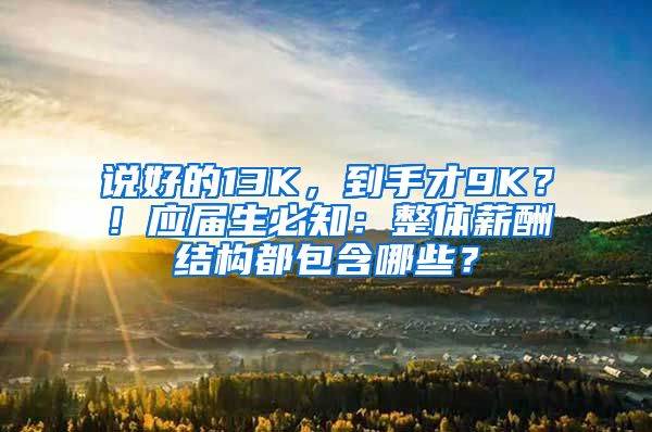 说好的13K,到手才9K?!应届生必知:整体薪酬结构都包含哪些?