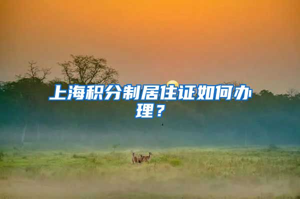 上海积分制居住证如何办理？