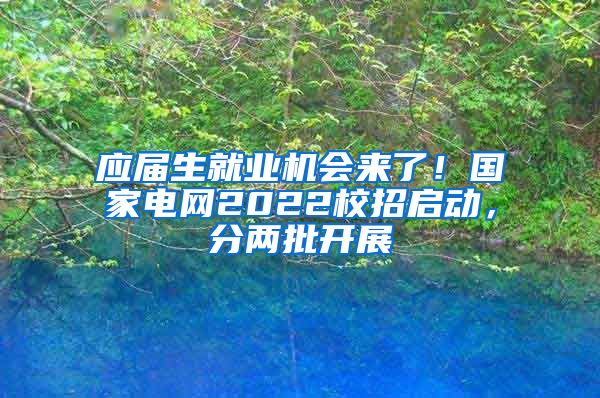 应届生就业机会来了！国家电网2022校招启动，分两批开展