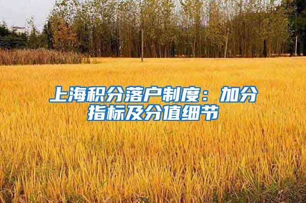 上海积分落户制度：加分指标及分值细节