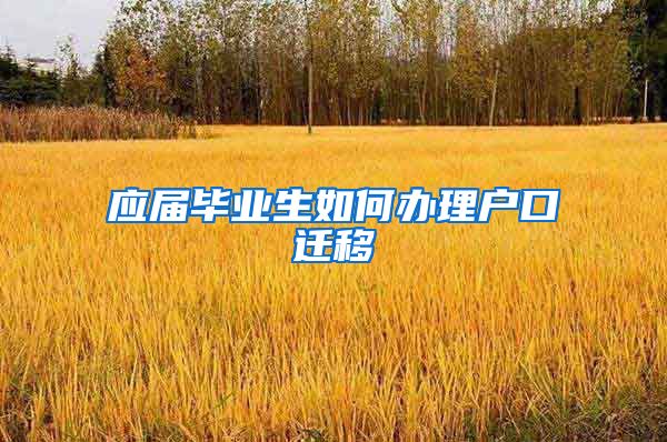 应届毕业生如何办理户口迁移